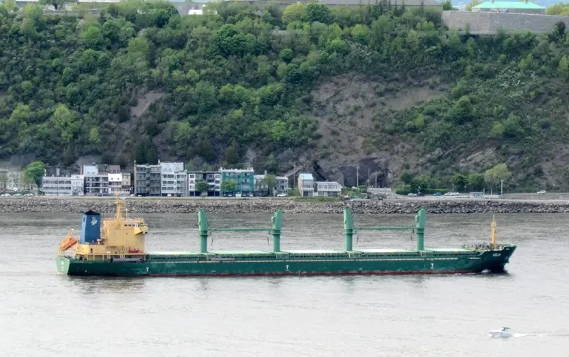 MANDULEY Bulk Carrier IMO 9571600 photo 6