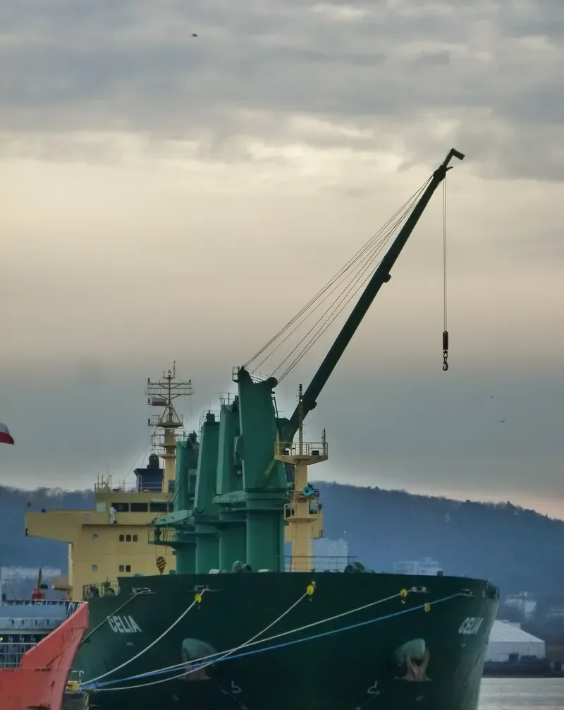 MANDULEY Bulk Carrier IMO 9571600 photo 7
