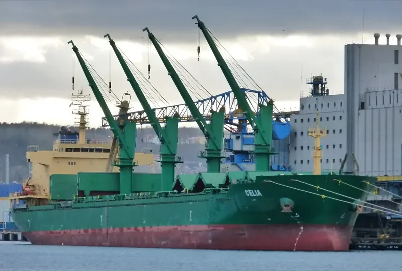 MANDULEY Bulk Carrier IMO 9571600 photo 8