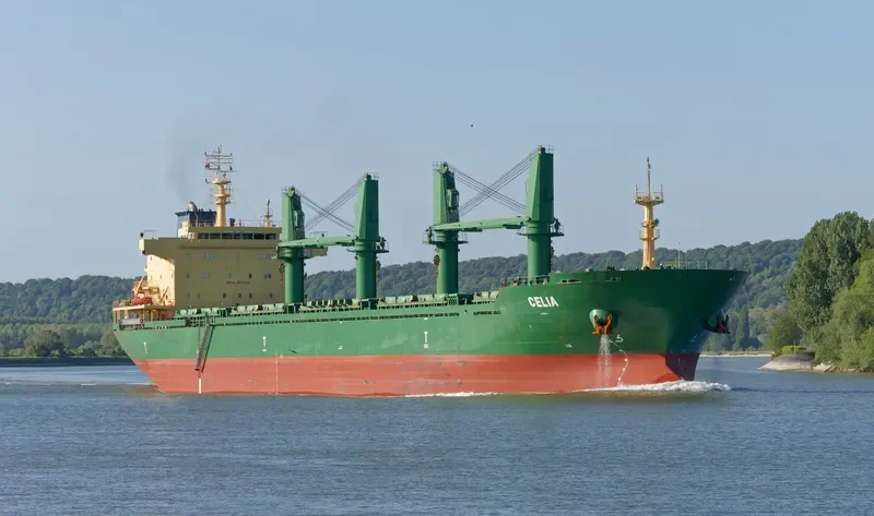 MANDULEY Bulk Carrier IMO 9571600 photo 9
