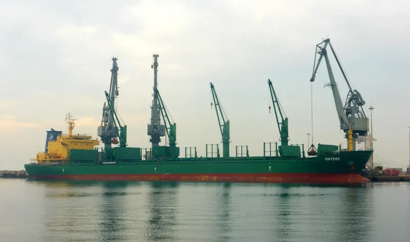 HAYDEE Bulk Carrier IMO 9571612