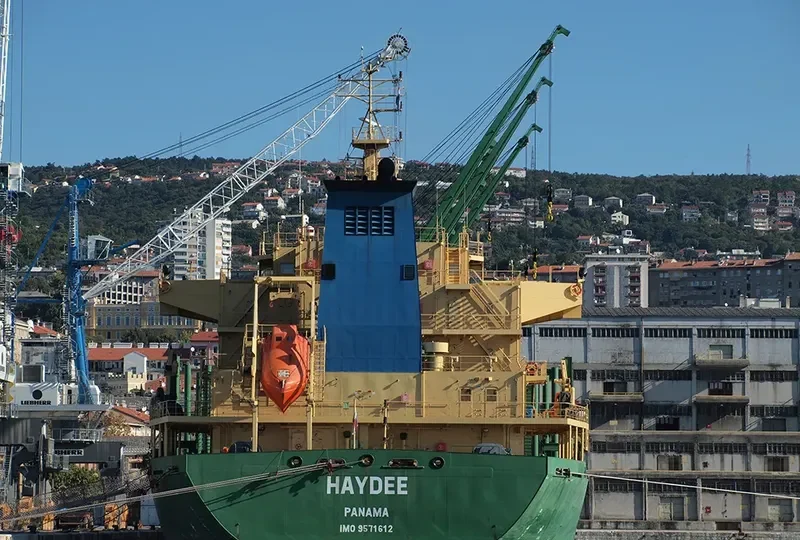 HAYDEE Bulk Carrier IMO 9571612 photo 4