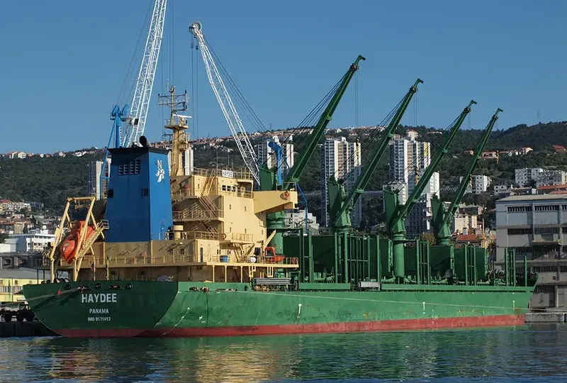 HAYDEE Bulk Carrier IMO 9571612 photo 5