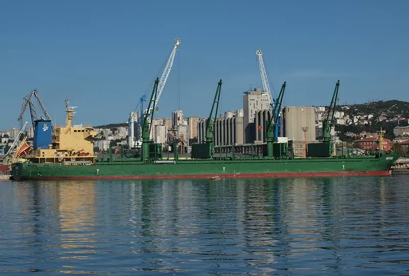 HAYDEE Bulk Carrier IMO 9571612 photo 6