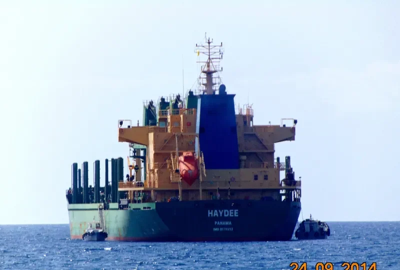 HAYDEE Bulk Carrier IMO 9571612 photo 7