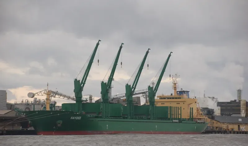 HAYDEE Bulk Carrier IMO 9571612 photo 9