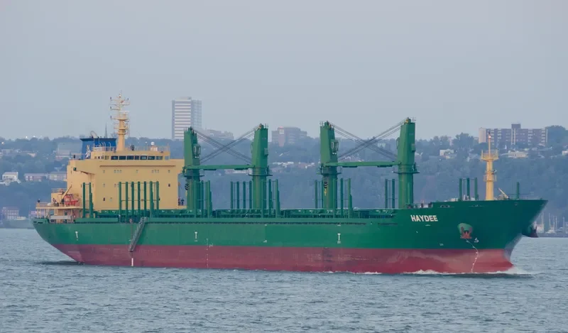 HAYDEE Bulk Carrier IMO 9571612 photo 10