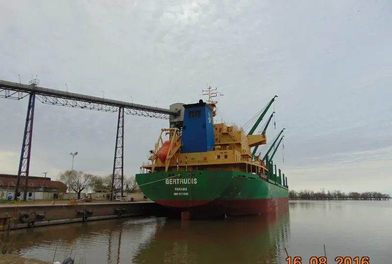 AVELLANEDA Bulk Carrier IMO 9571636