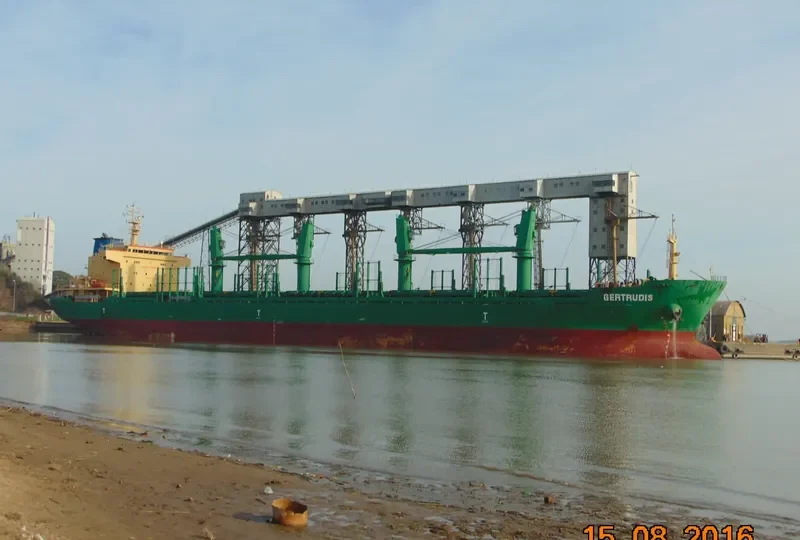 AVELLANEDA Bulk Carrier IMO 9571636 photo 2