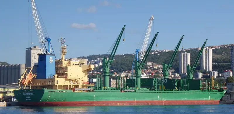 AVELLANEDA Bulk Carrier IMO 9571636 photo 5