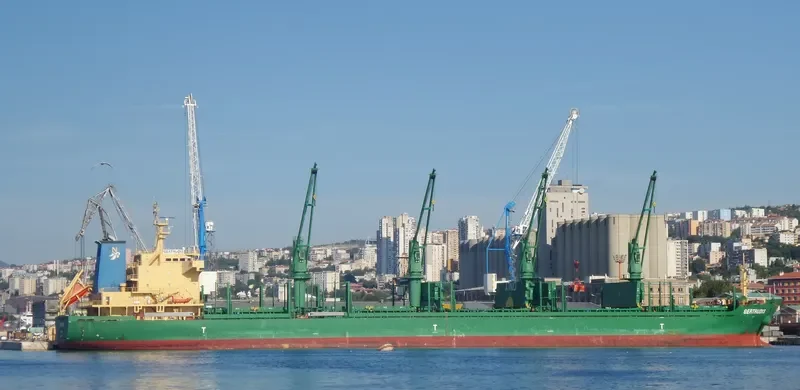 AVELLANEDA Bulk Carrier IMO 9571636 photo 6