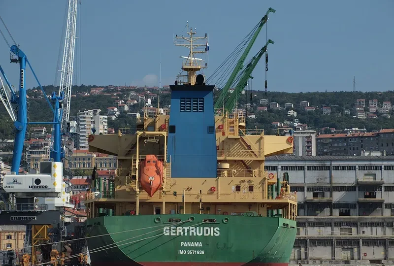 AVELLANEDA Bulk Carrier IMO 9571636 photo 7