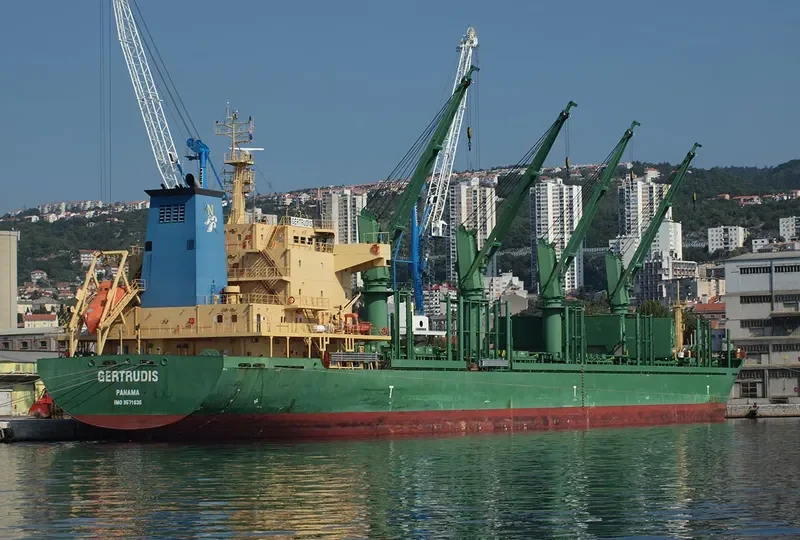 AVELLANEDA Bulk Carrier IMO 9571636 photo 8