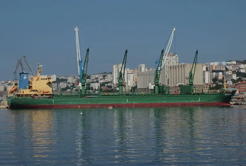 AVELLANEDA Bulk Carrier IMO 9571636 photo 9
