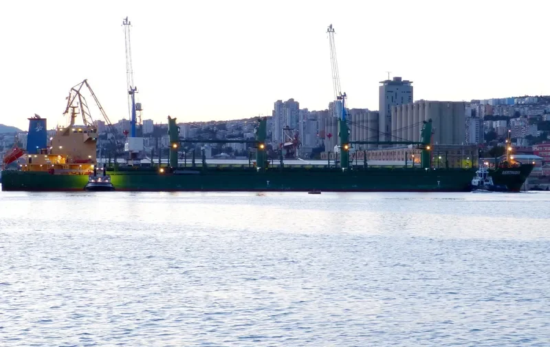AVELLANEDA Bulk Carrier IMO 9571636 photo 10