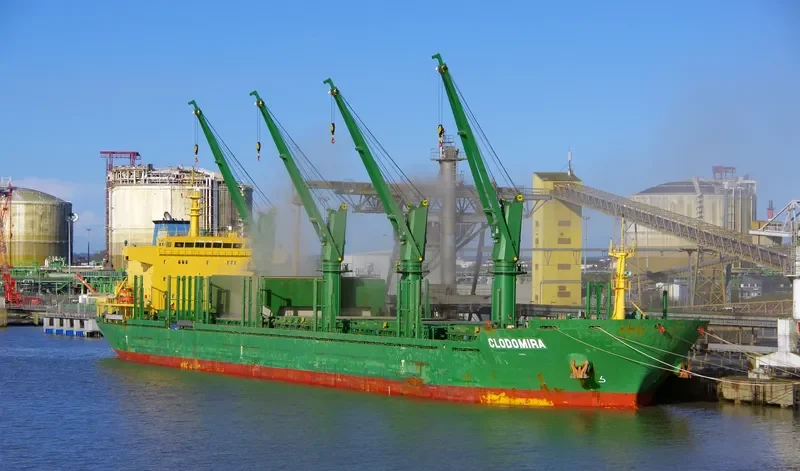 CLODOMIRA Bulk Carrier IMO 9571648 photo 3