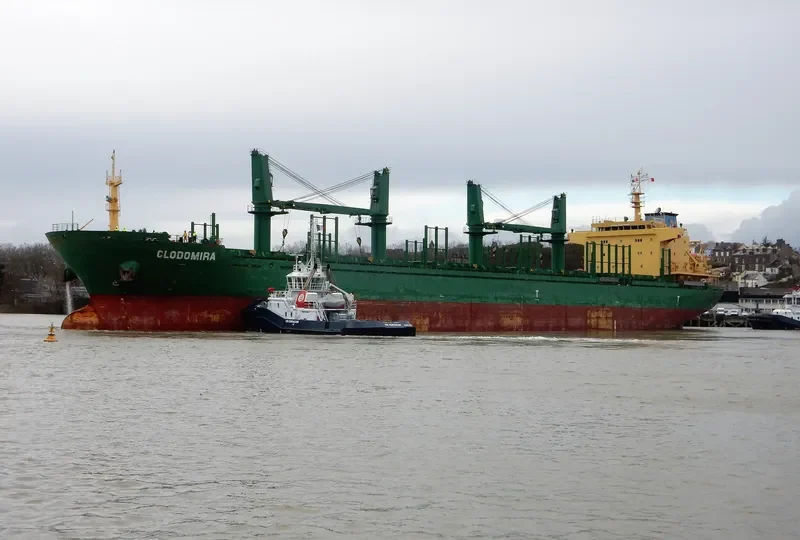 CLODOMIRA Bulk Carrier IMO 9571648 photo 4