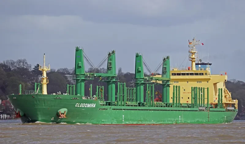 CLODOMIRA Bulk Carrier IMO 9571648 photo 8