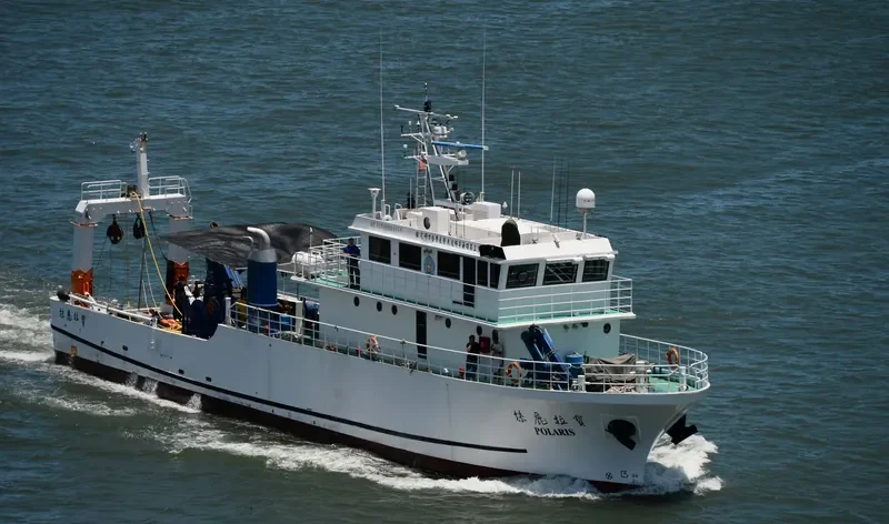 POLARIS General Cargo IMO 9571727 photo 5