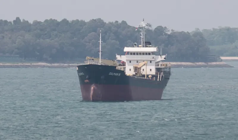 DOLPHIN 15 General Cargo IMO 9571741 photo 2