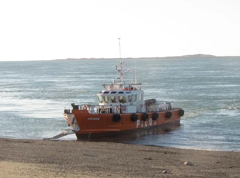 CHOIQUE General Cargo IMO 9571870