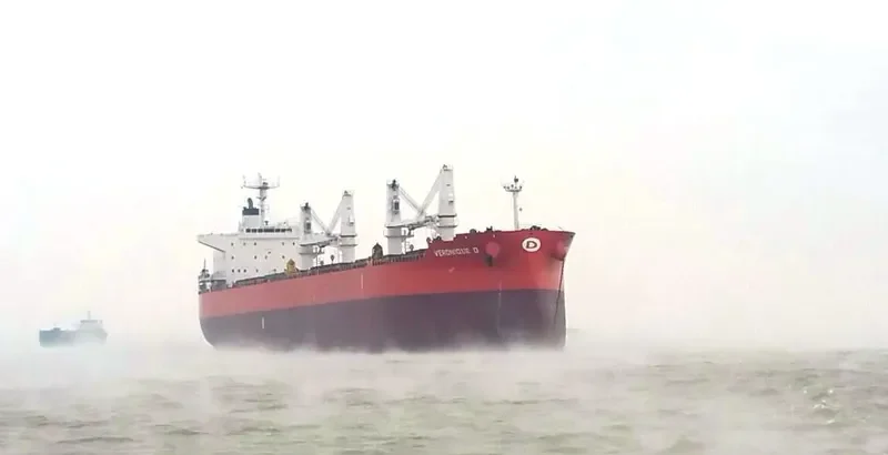 ALMAR Bulk Carrier IMO 9572070 photo 4
