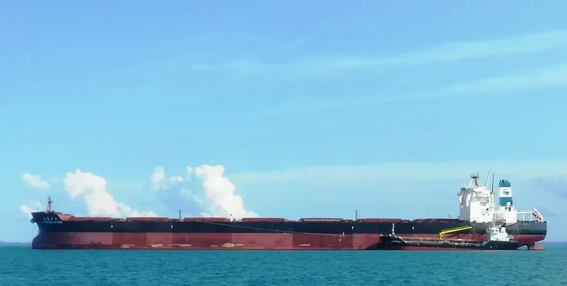 SHANDONG DA REN Bulk Carrier IMO 9572343