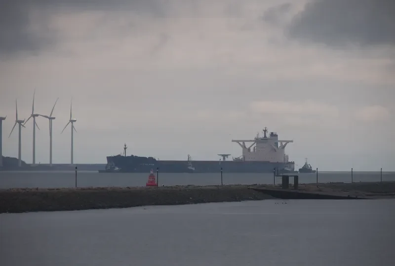 SHANDONG DA REN Bulk Carrier IMO 9572343 photo 7