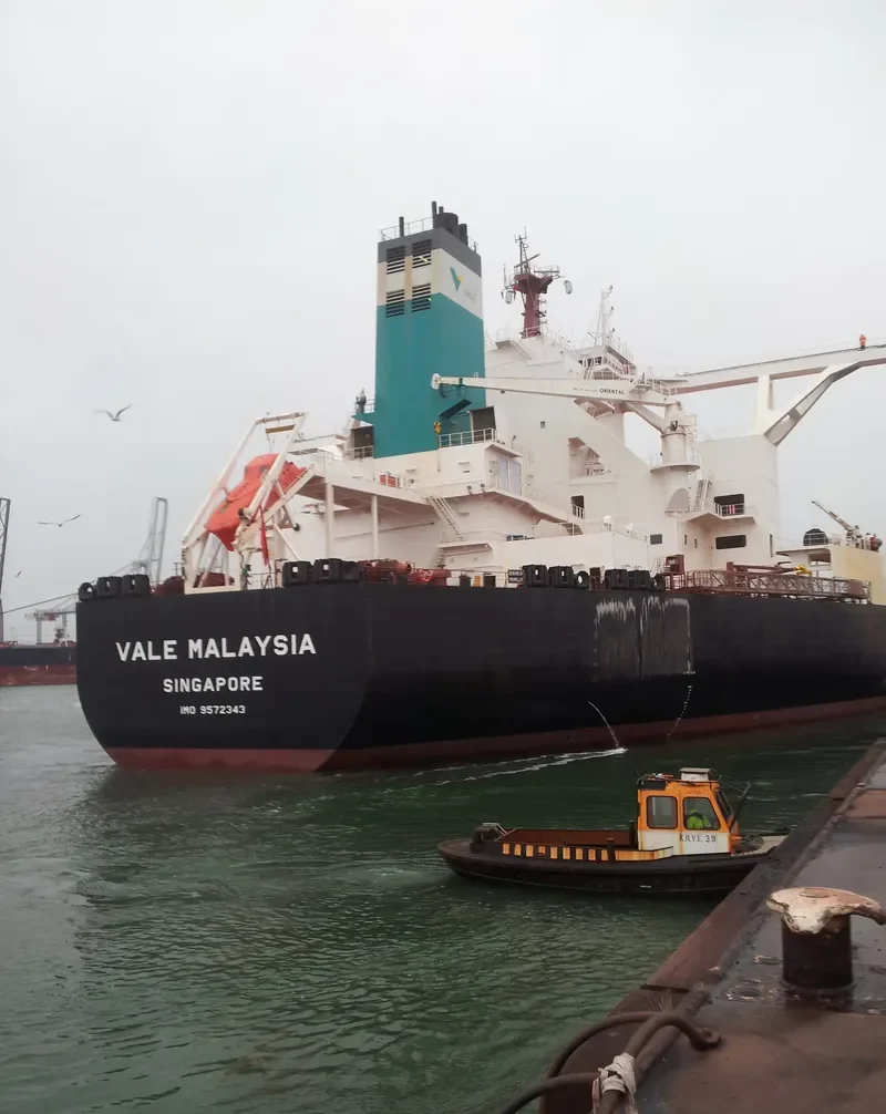 SHANDONG DA REN Bulk Carrier IMO 9572343 photo 9