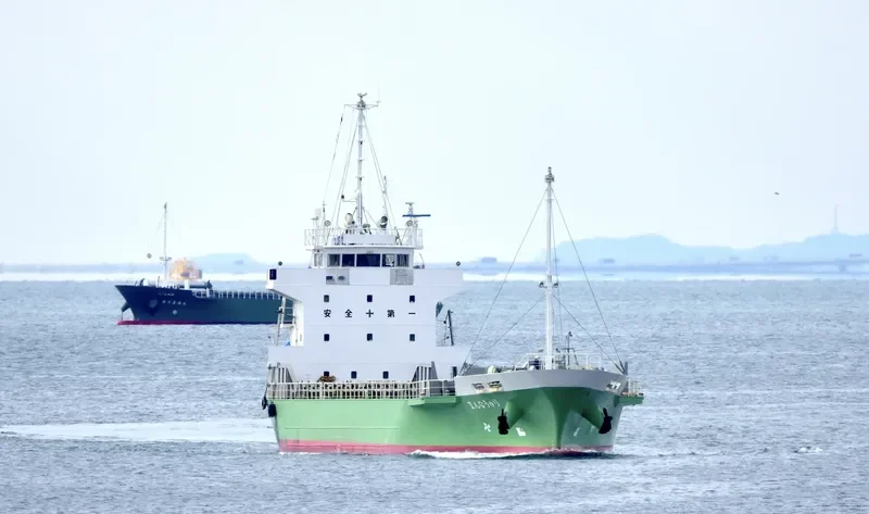 RYUNAN 2 General Cargo IMO 9572525 photo 6