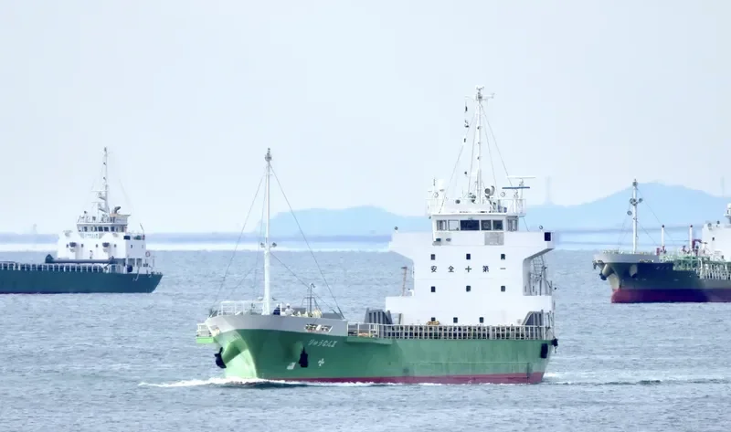 RYUNAN 2 General Cargo IMO 9572525 photo 7