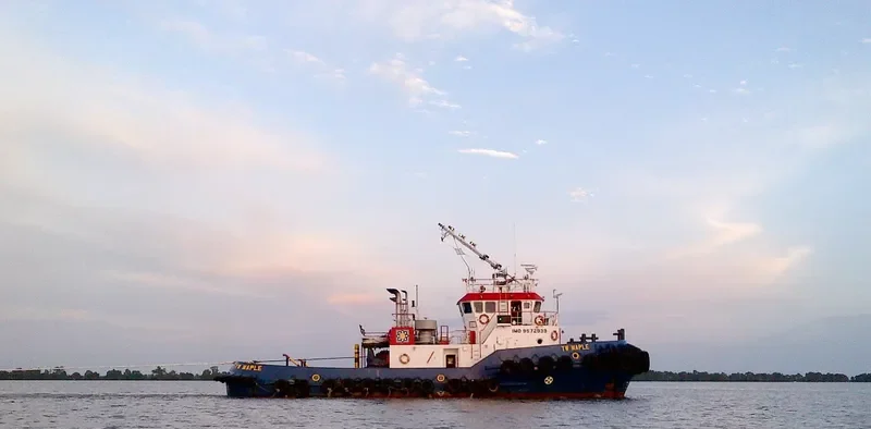 TW MAPLE General Cargo IMO 9572939 photo 3