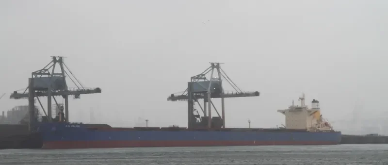 P.S.PALIOS Bulk Carrier IMO 9573103 photo 10