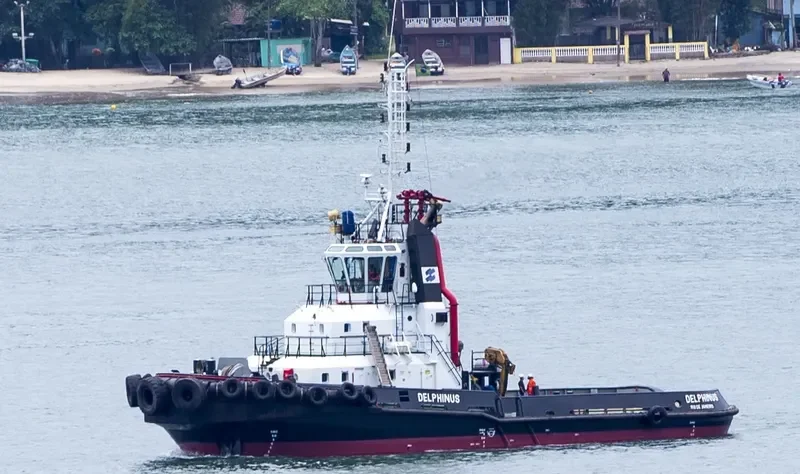 DELPHINUS General Cargo IMO 9573141