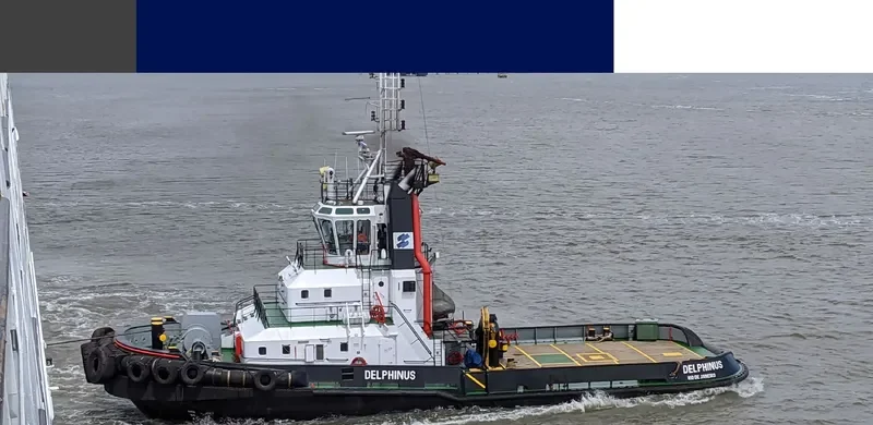 DELPHINUS General Cargo IMO 9573141 photo 6
