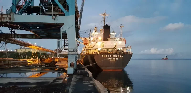 THAI BINH BAY Bulk Carrier IMO 9573309