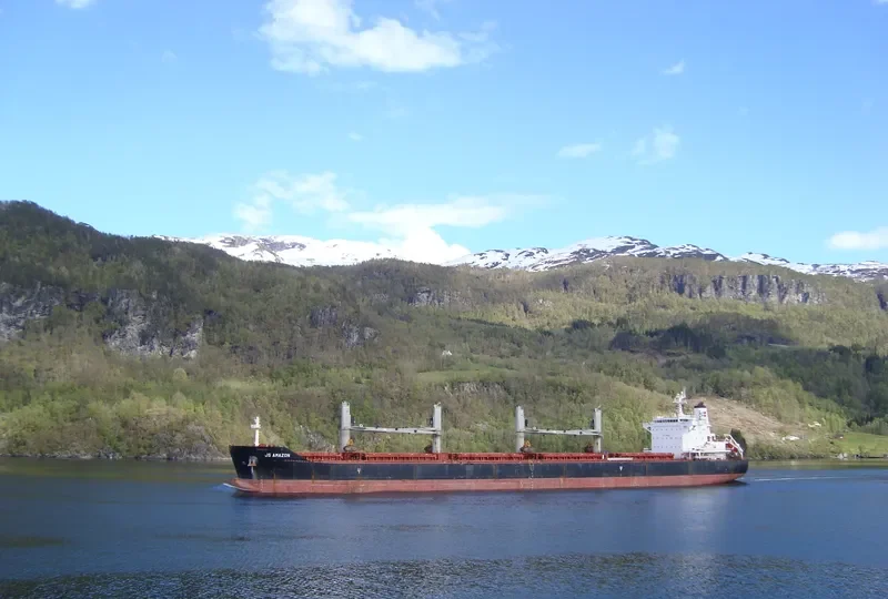 AQUAYORK Bulk Carrier IMO 9573713 photo 9