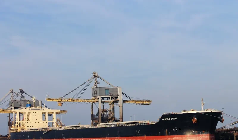 SEATTLE SLEW Bulk Carrier IMO 9573737