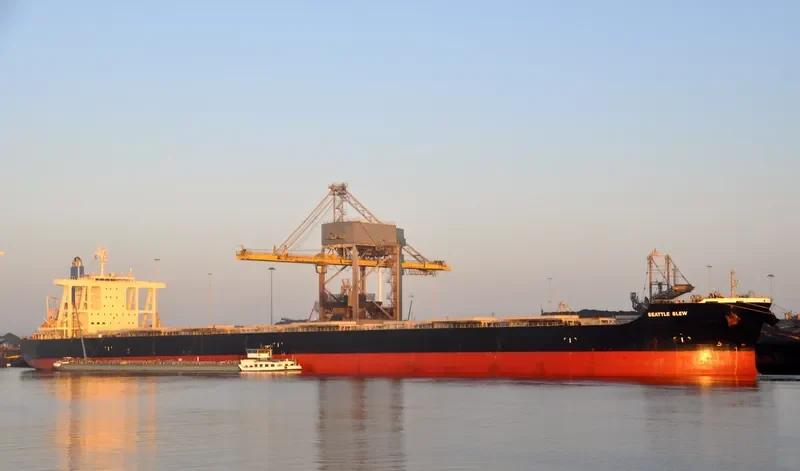 SEATTLE SLEW Bulk Carrier IMO 9573737 photo 4