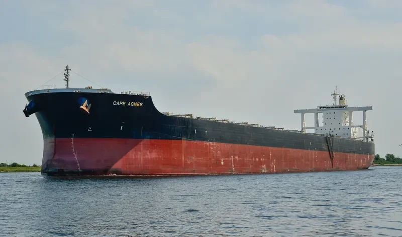 GREEN UNIVERSE Bulk Carrier IMO 9573751 photo 5