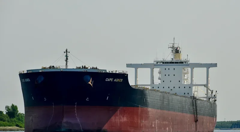 GREEN UNIVERSE Bulk Carrier IMO 9573751 photo 6