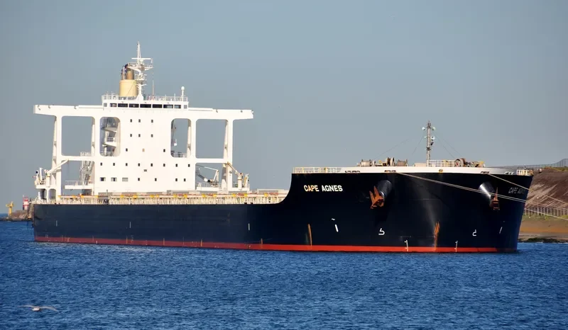 GREEN UNIVERSE Bulk Carrier IMO 9573751 photo 7