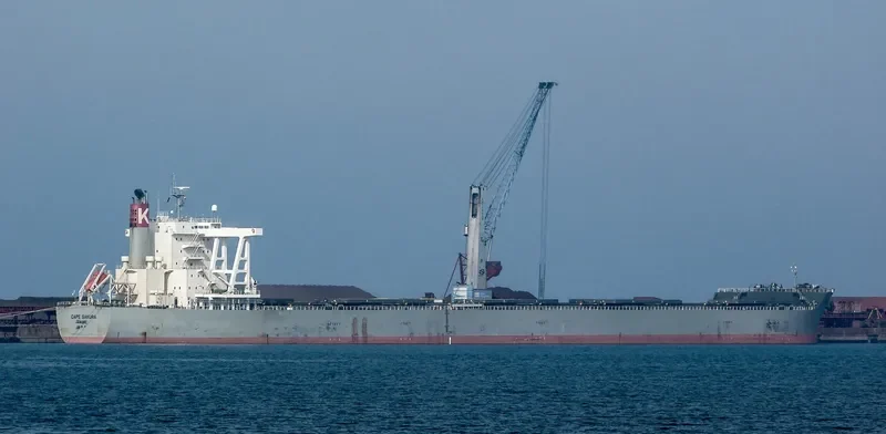 CAPE SAKURA Bulk Carrier IMO 9573763 photo 2