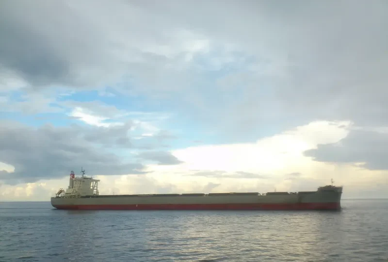 CAPE SAKURA Bulk Carrier IMO 9573763 photo 3