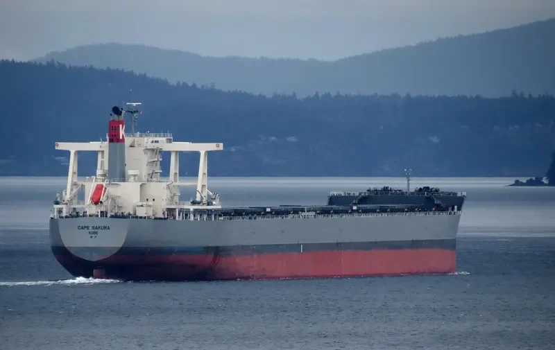 CAPE SAKURA Bulk Carrier IMO 9573763 photo 6