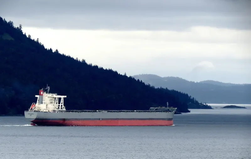 CAPE SAKURA Bulk Carrier IMO 9573763 photo 7