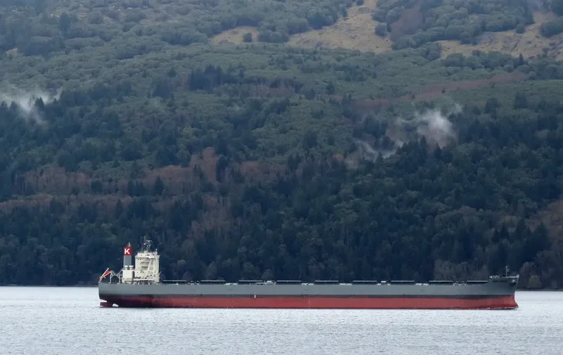 CAPE SAKURA Bulk Carrier IMO 9573763 photo 8