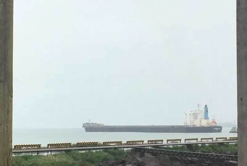 PACIFIST Bulk Carrier IMO 9573775