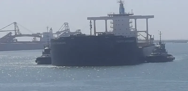 PACIFIST Bulk Carrier IMO 9573775 photo 2
