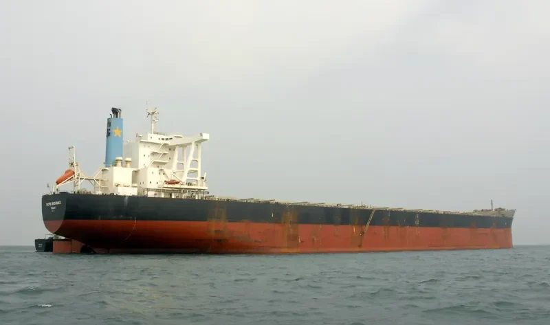 PACIFIST Bulk Carrier IMO 9573775 photo 3